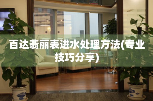  百达翡丽表进水处理方法(专业技巧分享) 手表维修知识库