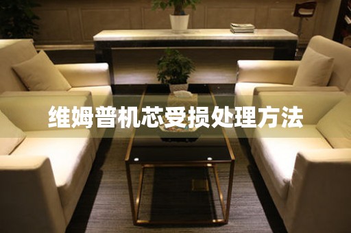  维姆普机芯受损处理方法 手表维修知识库
