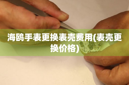  海鸥手表更换表壳费用(表壳更换价格) 手表维修知识库