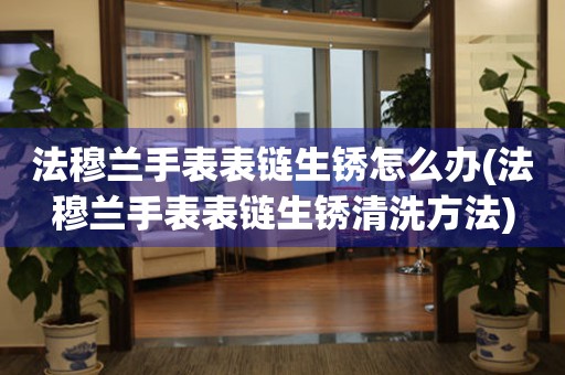  法穆兰手表表链生锈怎么办(法穆兰手表表链生锈清洗方法) 手表维修知识库