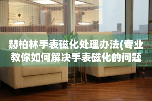  赫柏林手表磁化处理办法(专业教你如何解决手表磁化的问题) 手表维修知识库
