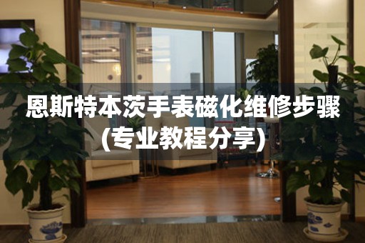  恩斯特本茨手表磁化维修步骤(专业教程分享) 手表维修知识库