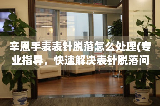  辛恩手表表针脱落怎么处理(专业指导，快速解决表针脱落问题) 手表维修知识库