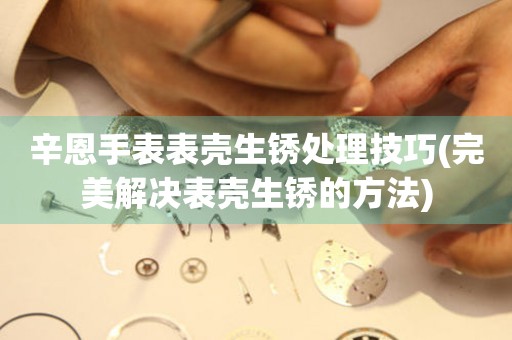  辛恩手表表壳生锈处理技巧(完美解决表壳生锈的方法) 手表维修知识库