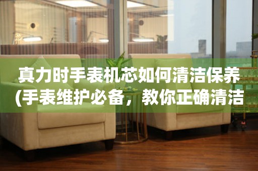  真力时手表机芯如何清洁保养(手表维护必备，教你正确清洁保养真力时手表机芯) 手表维修知识库