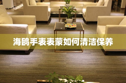  海鸥手表表蒙如何清洁保养 手表维修知识库