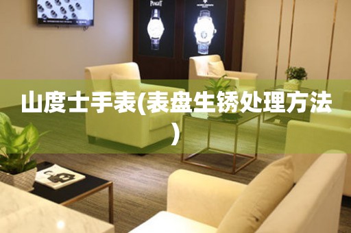  山度士手表(表盘生锈处理方法) 手表维修知识库