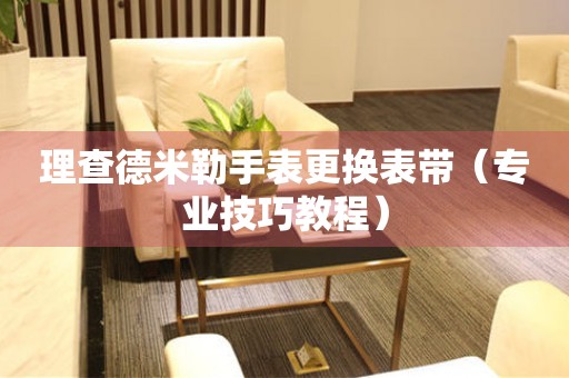  理查德米勒手表更换表带（专业技巧教程） 手表维修知识库