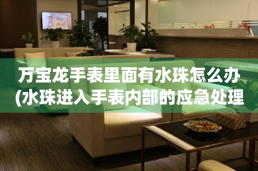  万宝龙手表里面有水珠怎么办(水珠进入手表内部的应急处理方法) 手表维修知识库