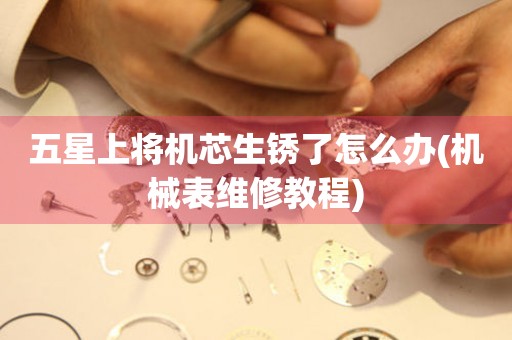  五星上将机芯生锈了怎么办(机械表维修教程) 手表维修知识库