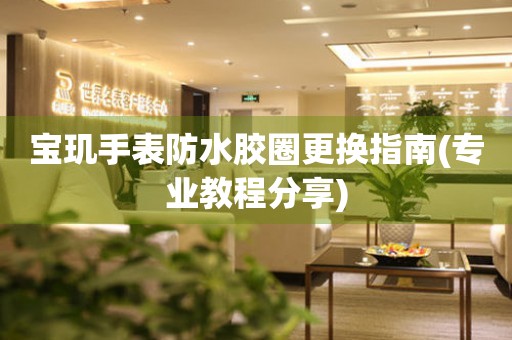  宝玑手表防水胶圈更换指南(专业教程分享) 手表维修知识库