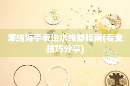  沛纳海手表进水维修指南(专业技巧分享) 手表维修知识库
