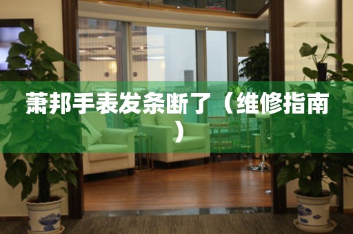  萧邦手表发条断了（维修指南） 手表维修知识库
