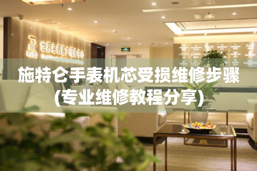  施特仑手表机芯受损维修步骤(专业维修教程分享) 手表维修知识库