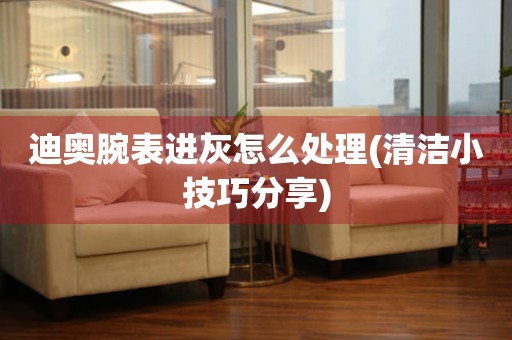  迪奥腕表进灰怎么处理(清洁小技巧分享) 手表维修知识库
