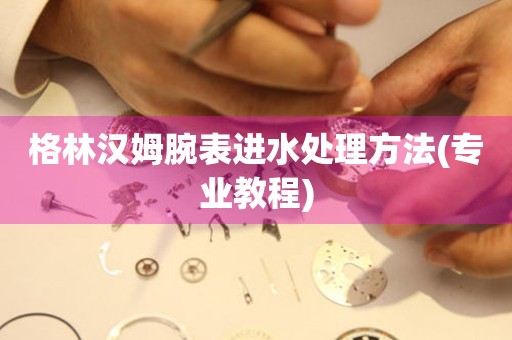  格林汉姆腕表进水处理方法(专业教程) 手表维修知识库