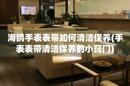  海鸥手表表带如何清洁保养(手表表带清洁保养的小窍门) 手表维修知识库