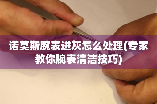  诺莫斯腕表进灰怎么处理(专家教你腕表清洁技巧) 手表维修知识库