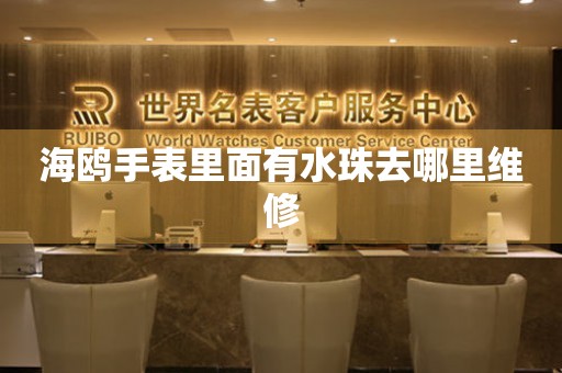  海鸥手表里面有水珠去哪里维修 手表维修知识库