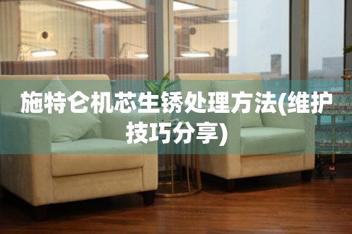  施特仑机芯生锈处理方法(维护技巧分享) 手表维修知识库