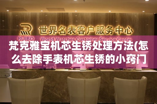  梵克雅宝机芯生锈处理方法(怎么去除手表机芯生锈的小窍门) 手表维修知识库