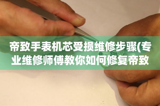  帝致手表机芯受损维修步骤(专业维修师傅教你如何修复帝致手表机芯问题) 手表维修知识库