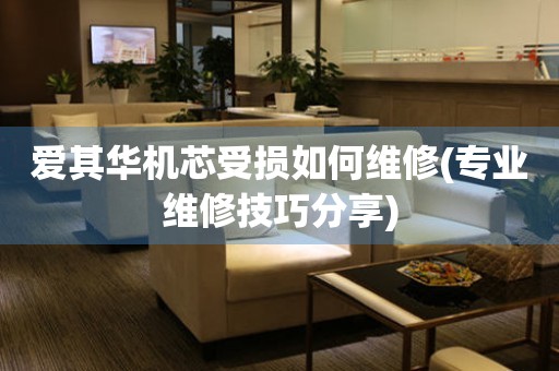  爱其华机芯受损如何维修(专业维修技巧分享) 手表维修知识库