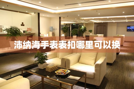  沛纳海手表表扣哪里可以换 手表维修知识库
