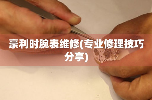  豪利时腕表维修(专业修理技巧分享) 手表维修知识库