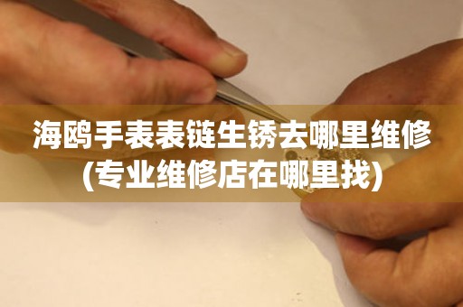  海鸥手表表链生锈去哪里维修(专业维修店在哪里找) 手表维修知识库