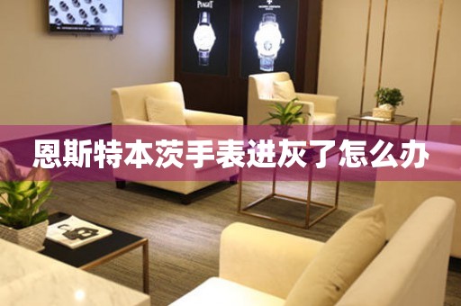  恩斯特本茨手表进灰了怎么办 手表维修知识库