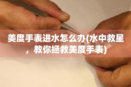  美度手表进水怎么办(水中救星，教你拯救美度手表) 手表维修知识库