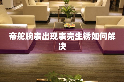  帝舵腕表出现表壳生锈如何解决 手表维修知识库