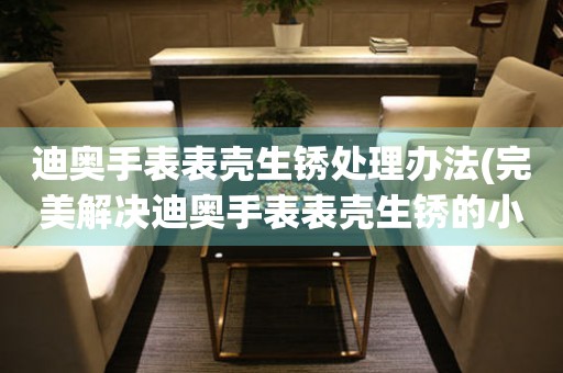  迪奥手表表壳生锈处理办法(完美解决迪奥手表表壳生锈的小妙招) 手表维修知识库