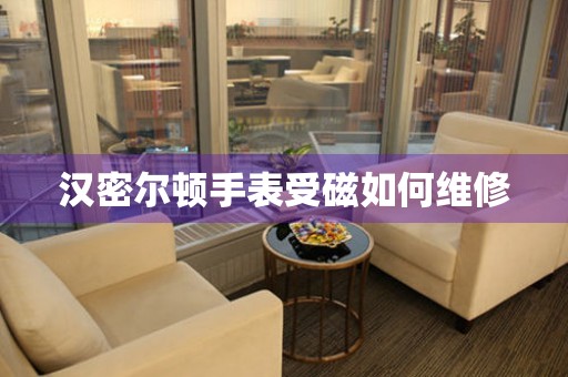  汉密尔顿手表受磁如何维修 手表维修知识库