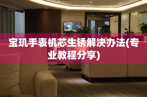  宝玑手表机芯生锈解决办法(专业教程分享) 手表维修知识库