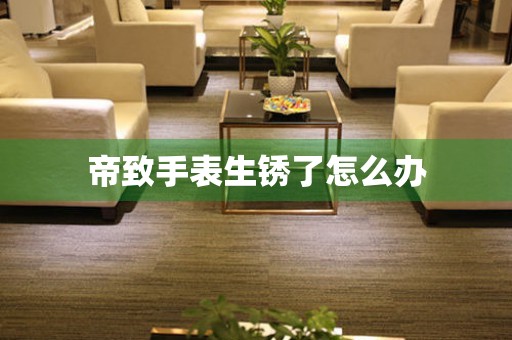 帝致手表生锈了怎么办