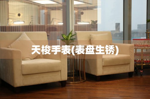  天梭手表(表盘生锈) 手表维修知识库