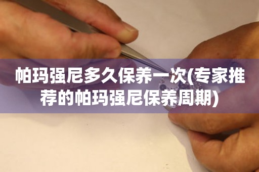  帕玛强尼多久保养一次(专家推荐的帕玛强尼保养周期) 手表维修知识库