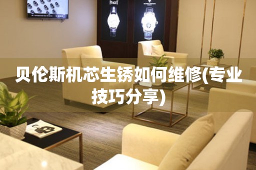  贝伦斯机芯生锈如何维修(专业技巧分享) 手表维修知识库