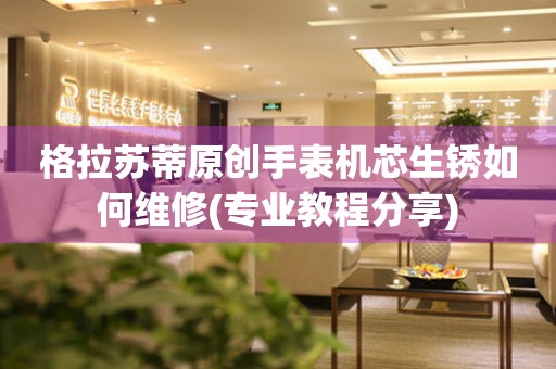  格拉苏蒂原创手表机芯生锈如何维修(专业教程分享) 手表维修知识库