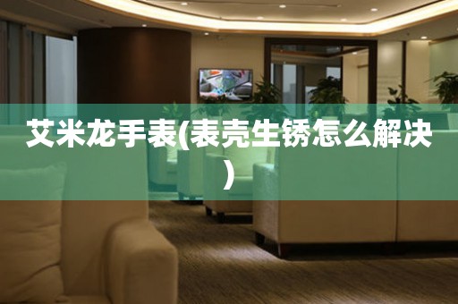 西藏艾米龙手表(表壳生锈怎么解决)