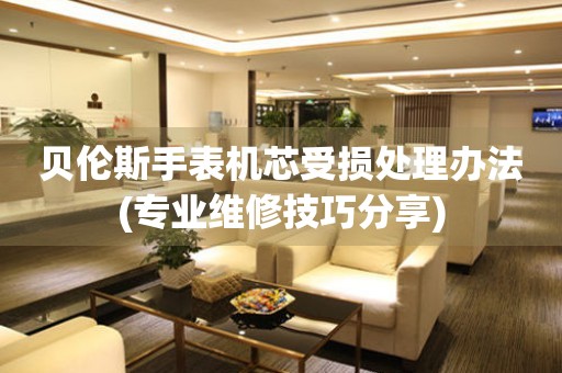  贝伦斯手表机芯受损处理办法(专业维修技巧分享) 手表维修知识库