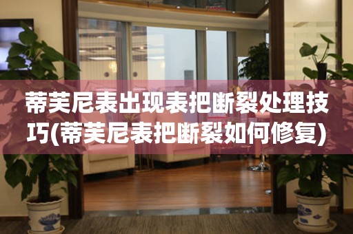  蒂芙尼表出现表把断裂处理技巧(蒂芙尼表把断裂如何修复) 手表维修知识库