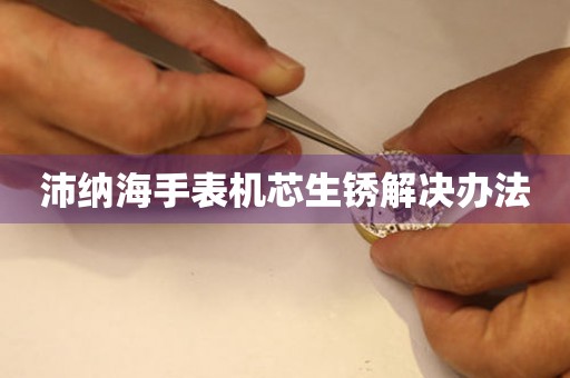  沛纳海手表机芯生锈解决办法 手表维修知识库