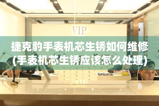  捷克豹手表机芯生锈如何维修(手表机芯生锈应该怎么处理) 手表维修知识库