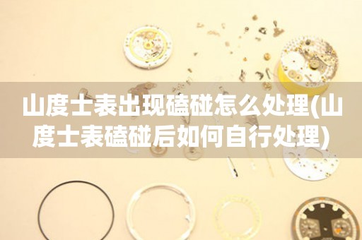  山度士表出现磕碰怎么处理(山度士表磕碰后如何自行处理) 手表维修知识库