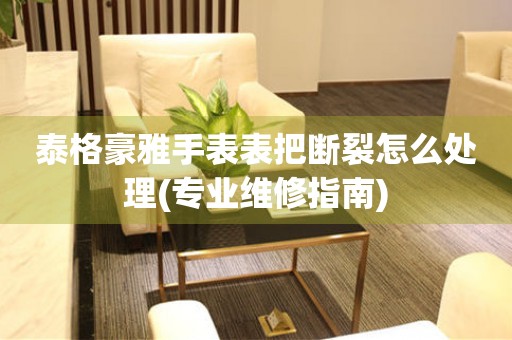  泰格豪雅手表表把断裂怎么处理(专业维修指南) 手表维修知识库