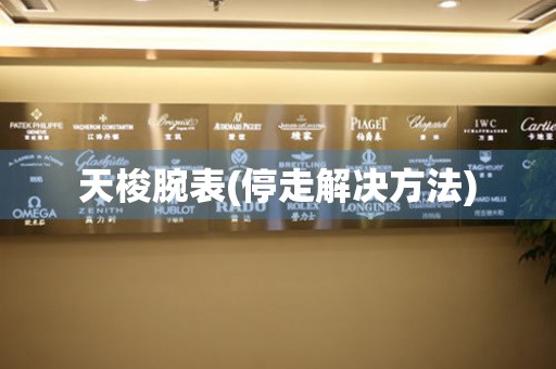 天梭腕表(停走解决方法) 手表维修知识库