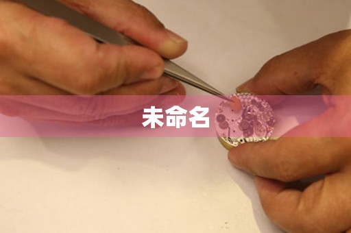 天津杜格纳维修中心在哪？
